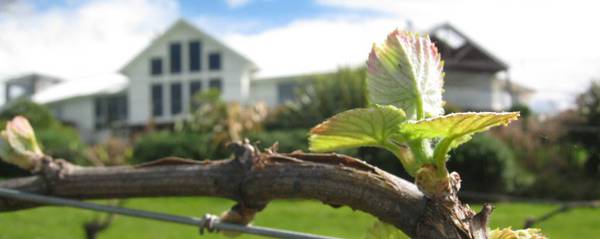 Spring buds 2012